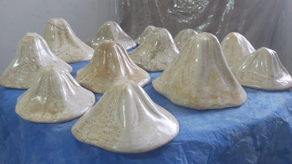 Clypeaster. nbsp;Fossil Urchins , Miocene age (23.03 to 5.333)millions of years ago. Location: Taza Morocco